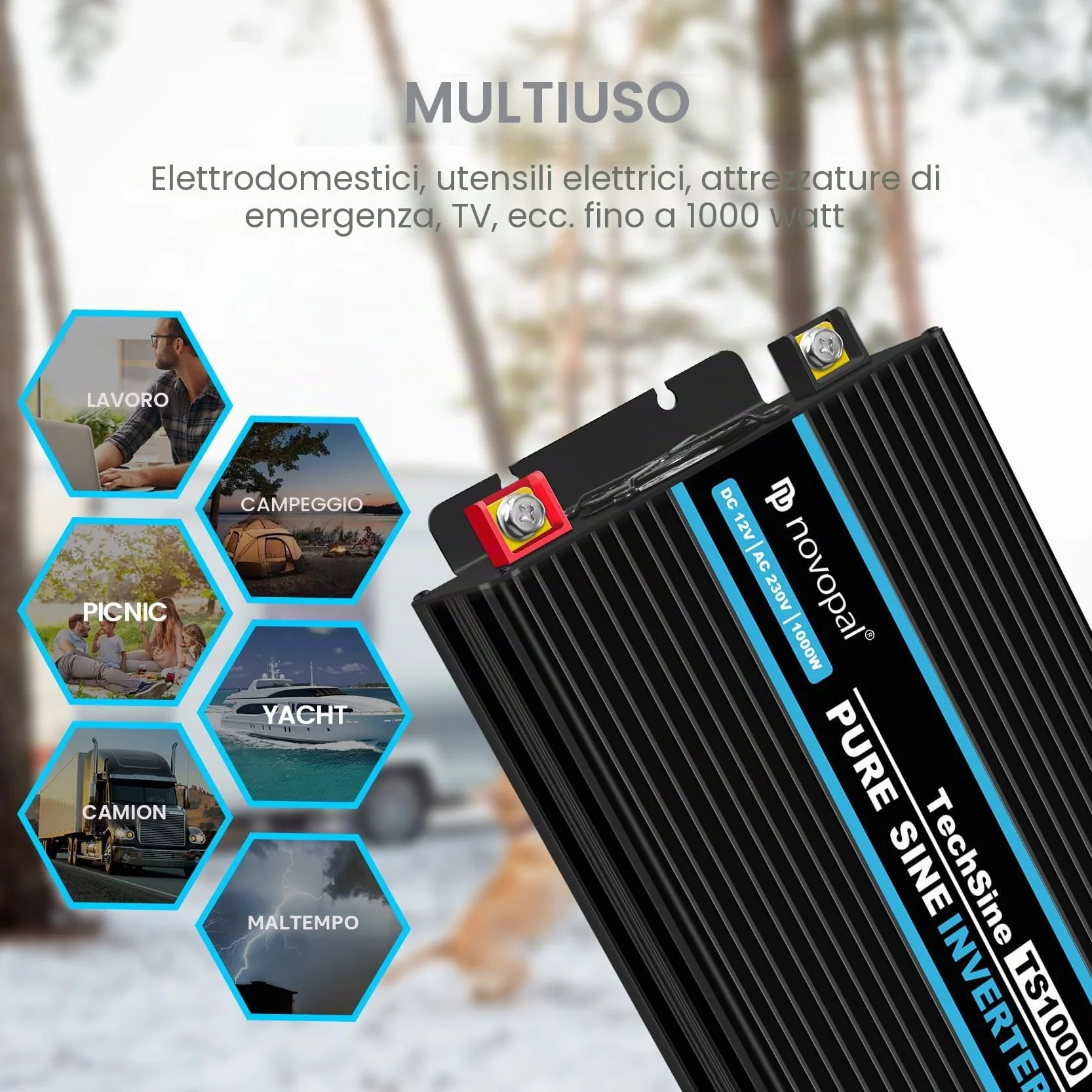 Novopal Inverter di Potenza 1000W Onda Sinusoidale DC 12V AC 220V 2 EU Presa USB Type-C