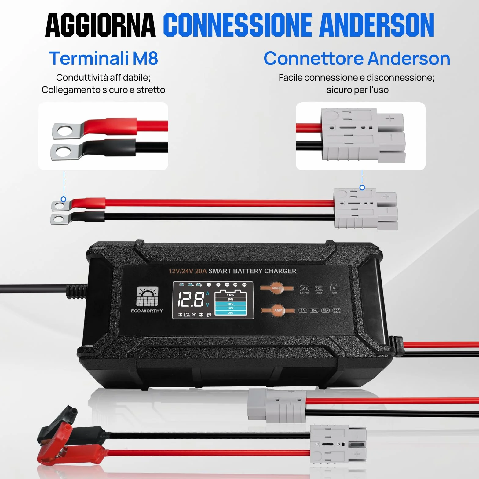 ECO-WORTHY 12V 24V 20A Caricabatterie LiFePO4 Rilevamento Automatico Piombo-Acido