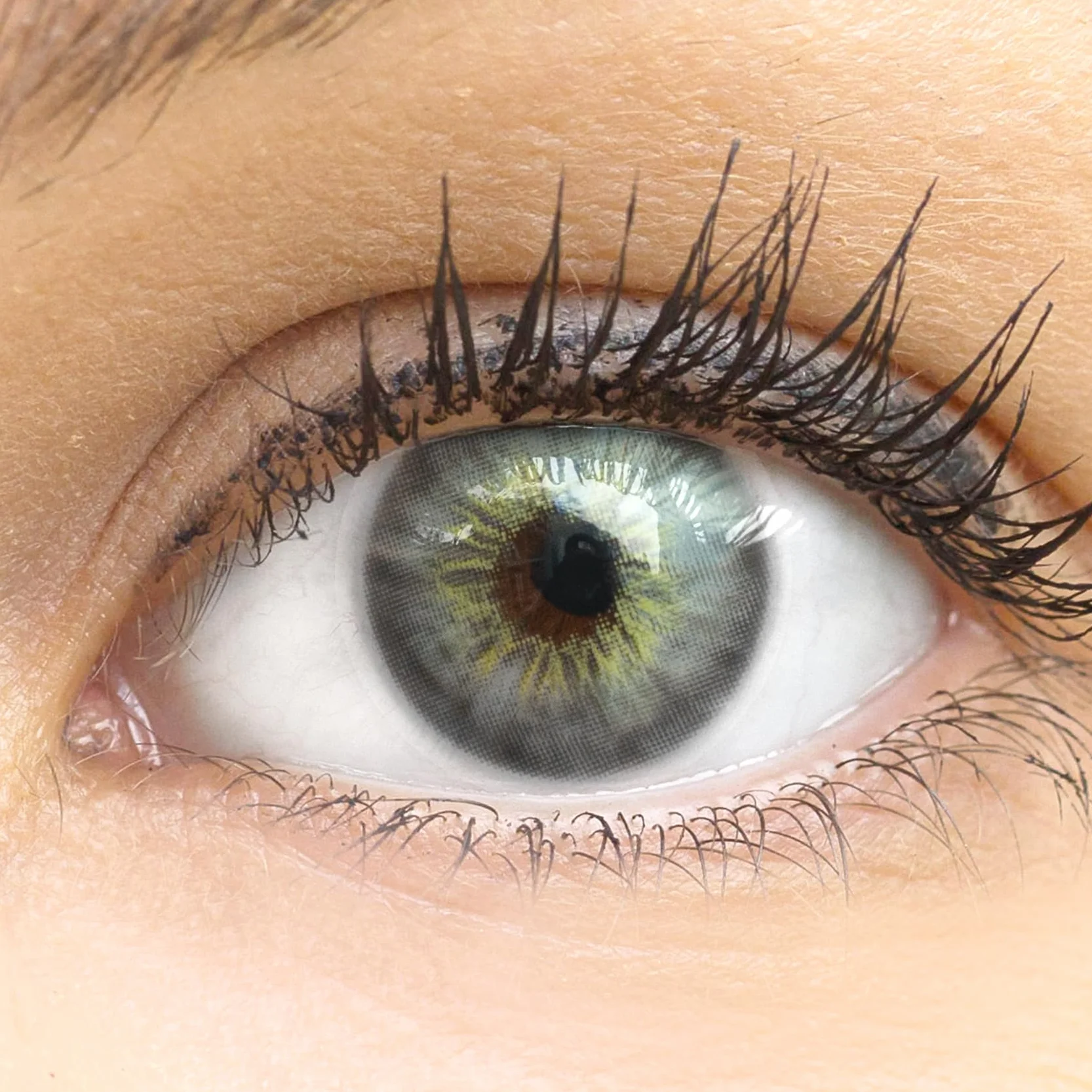 GLAMLENS Lenti a Contatto Colorate Grigio Madrid Gray - Silicone Idrogel - 2 Pezzi - DIA 14,00 - 0.00 Diottrie