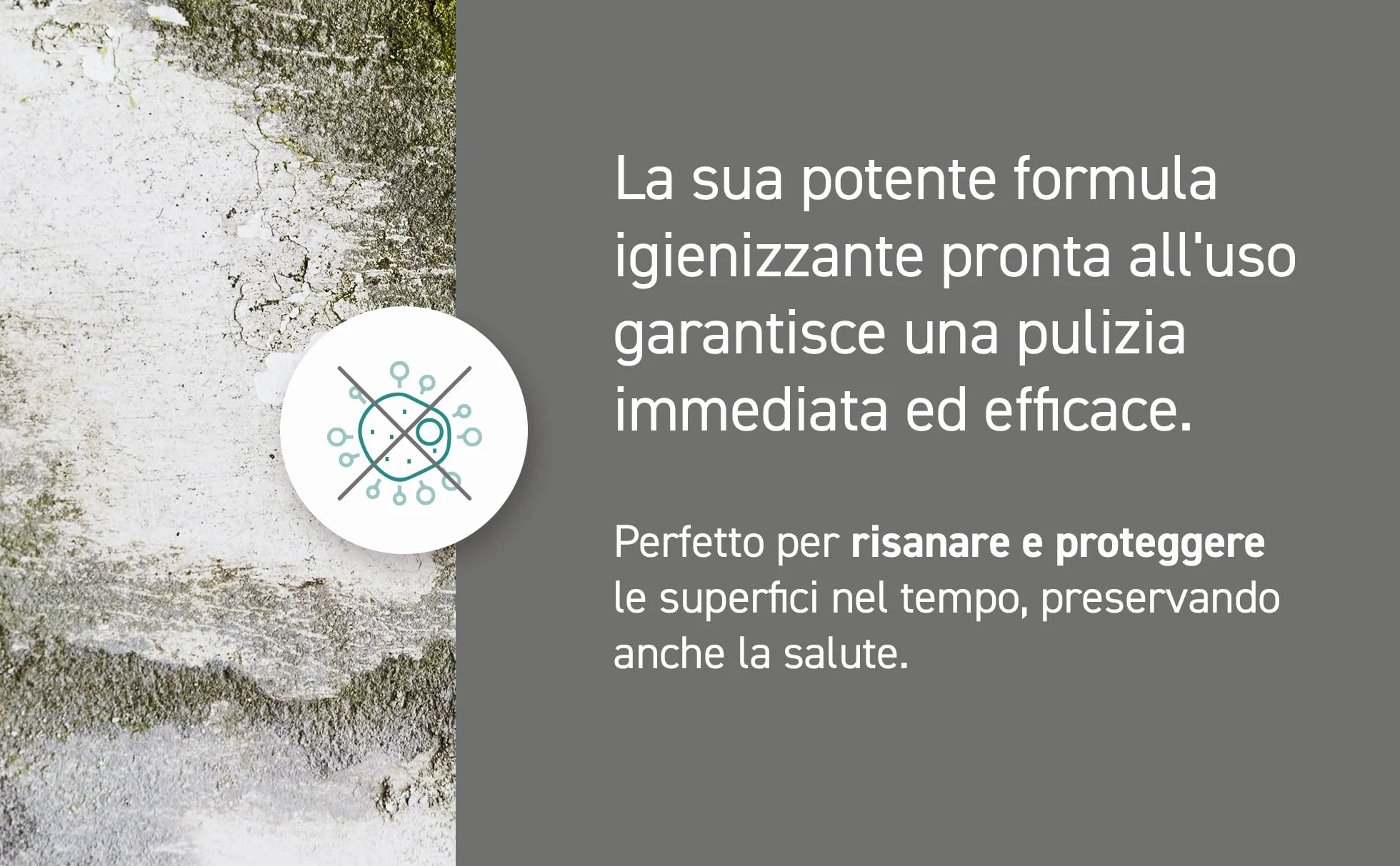 Spray Antimuffa Igienizzante MUFFAOUT 500ml Elimina Muffe Muschi Licheni Pareti Piastrelle