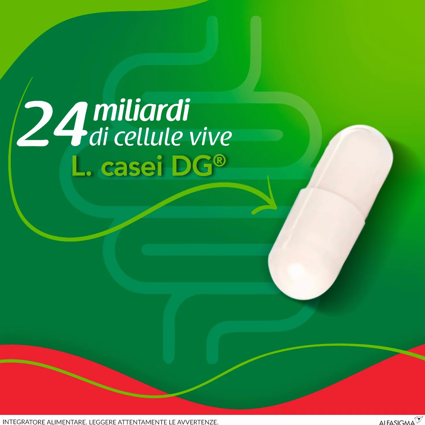 Enterolactis Plus 30 capsule: probiotici fermenti lattici per flora intestinale