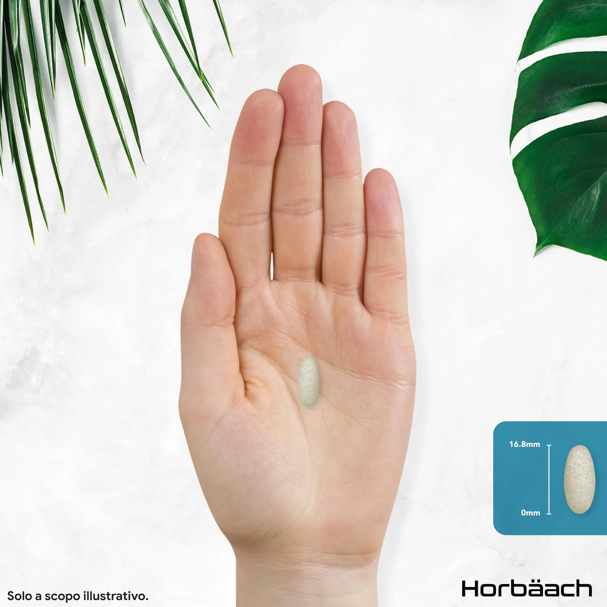 Horbaach MSM 2000mg con Vitamina C 365 Compresse Vegane Metilsulfonilmetano Acido Ascorbico Alto Dosaggio