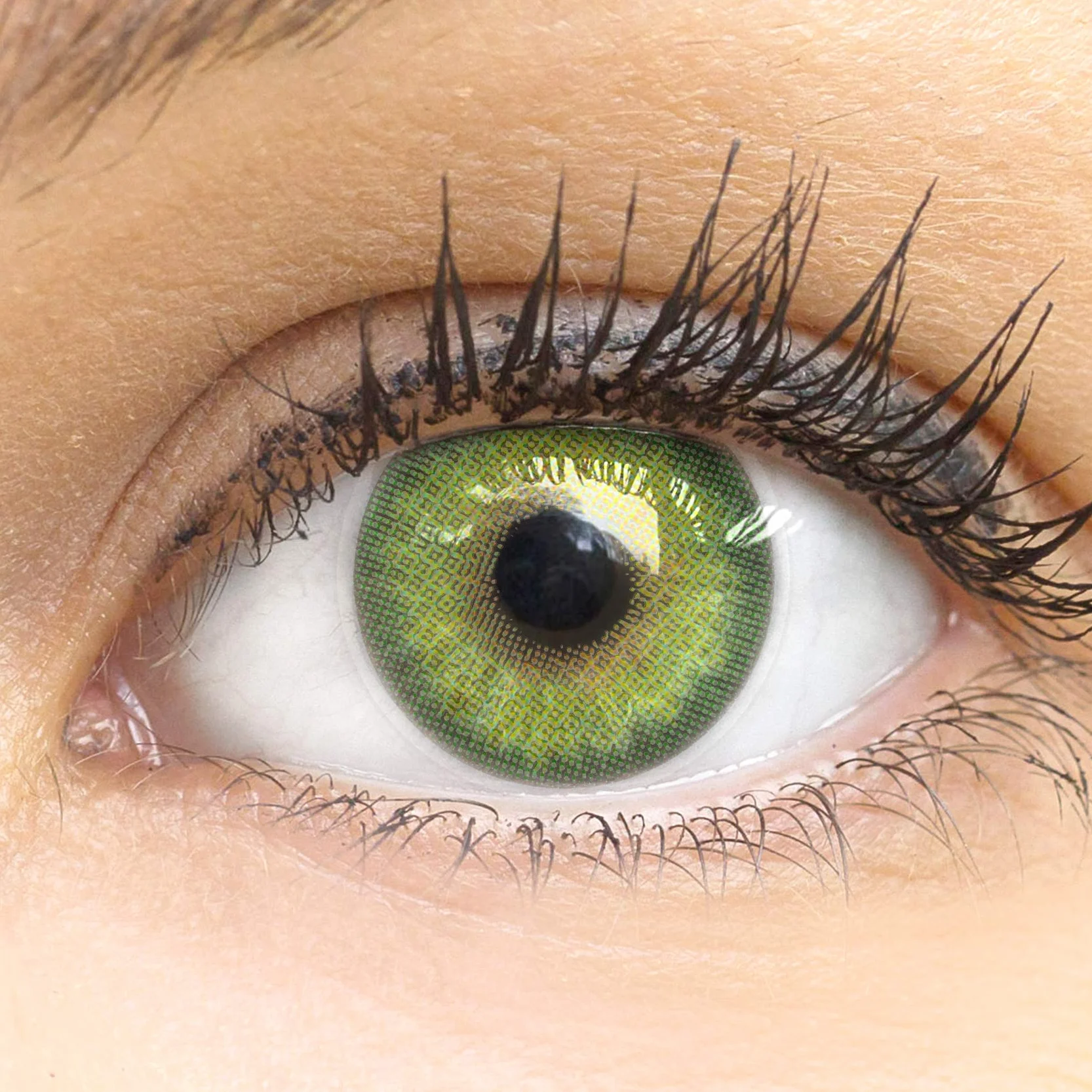 GLAMLENS Lenti a Contatto Colorate Verdi Florence Green Mensili 2 Pezzi DIA 14.5 Senza Correzione 0.00