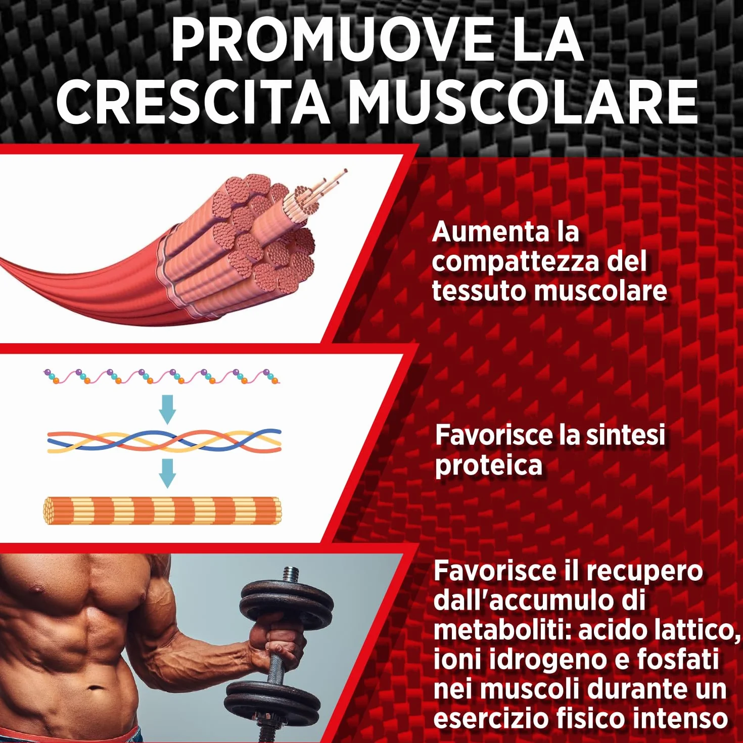 Turkesterone Bodybuilding 120 Capsule Testorush Massa Prestazione Uomo - CORDYCEPS ASHWAGANDHA B-ECDISTERONE mk 677 tongkat ali