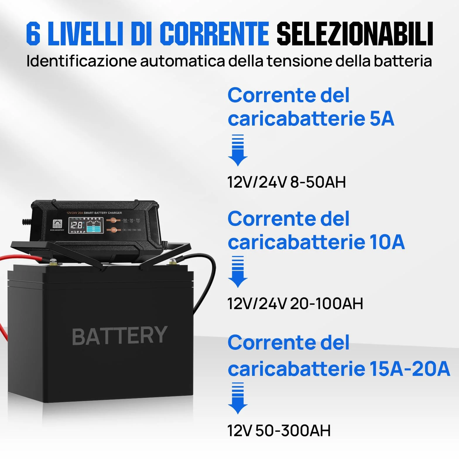 ECO-WORTHY 12V 24V 20A Caricabatterie LiFePO4 Rilevamento Automatico Piombo-Acido