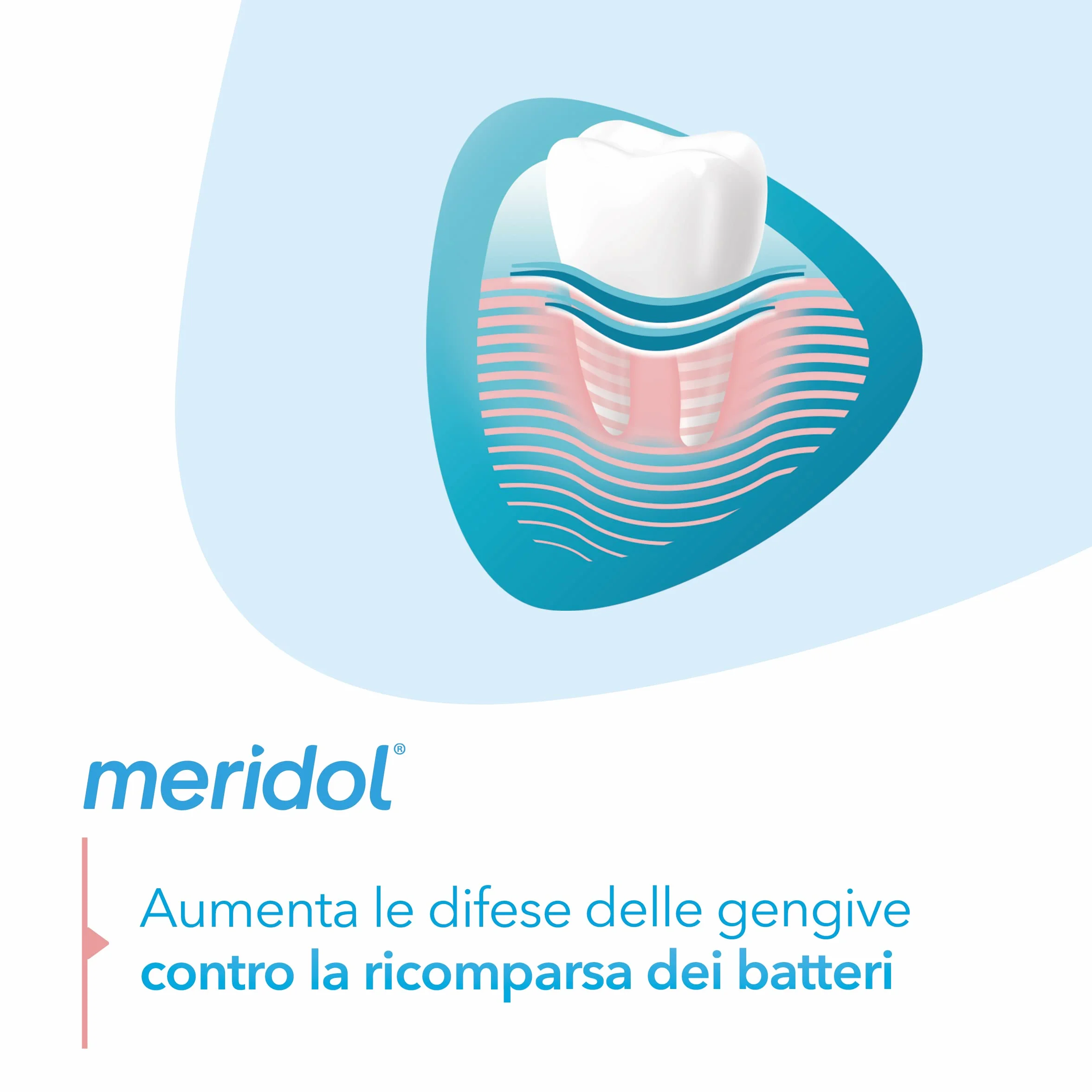 meridol Dentifricio Protezione Gengive 2x75ml