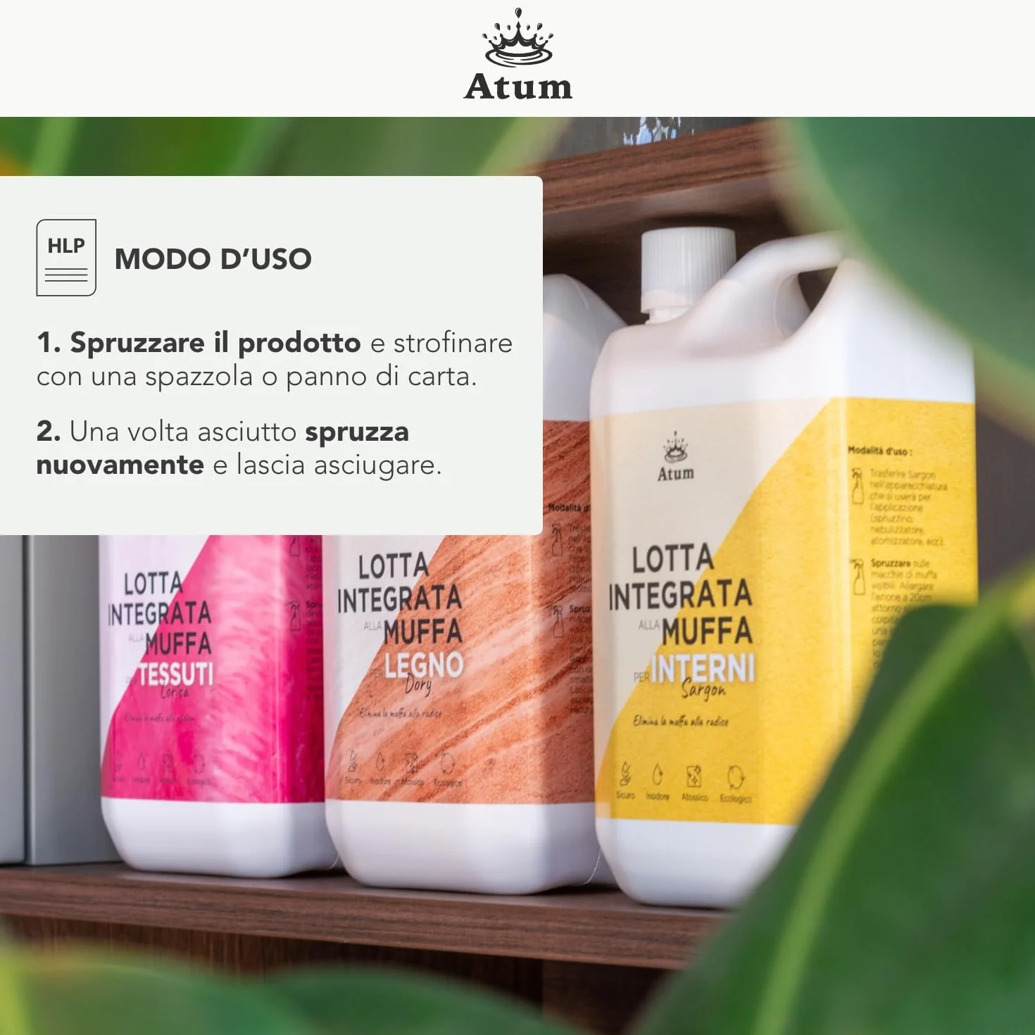 Sargon Rimuove la Muffa 100% Inodore 500ml Igienizza Muri e Pareti