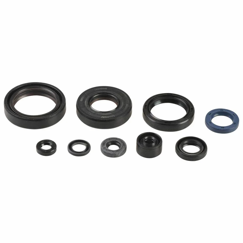 Athena P400250400137 Kit Paraoli Motore