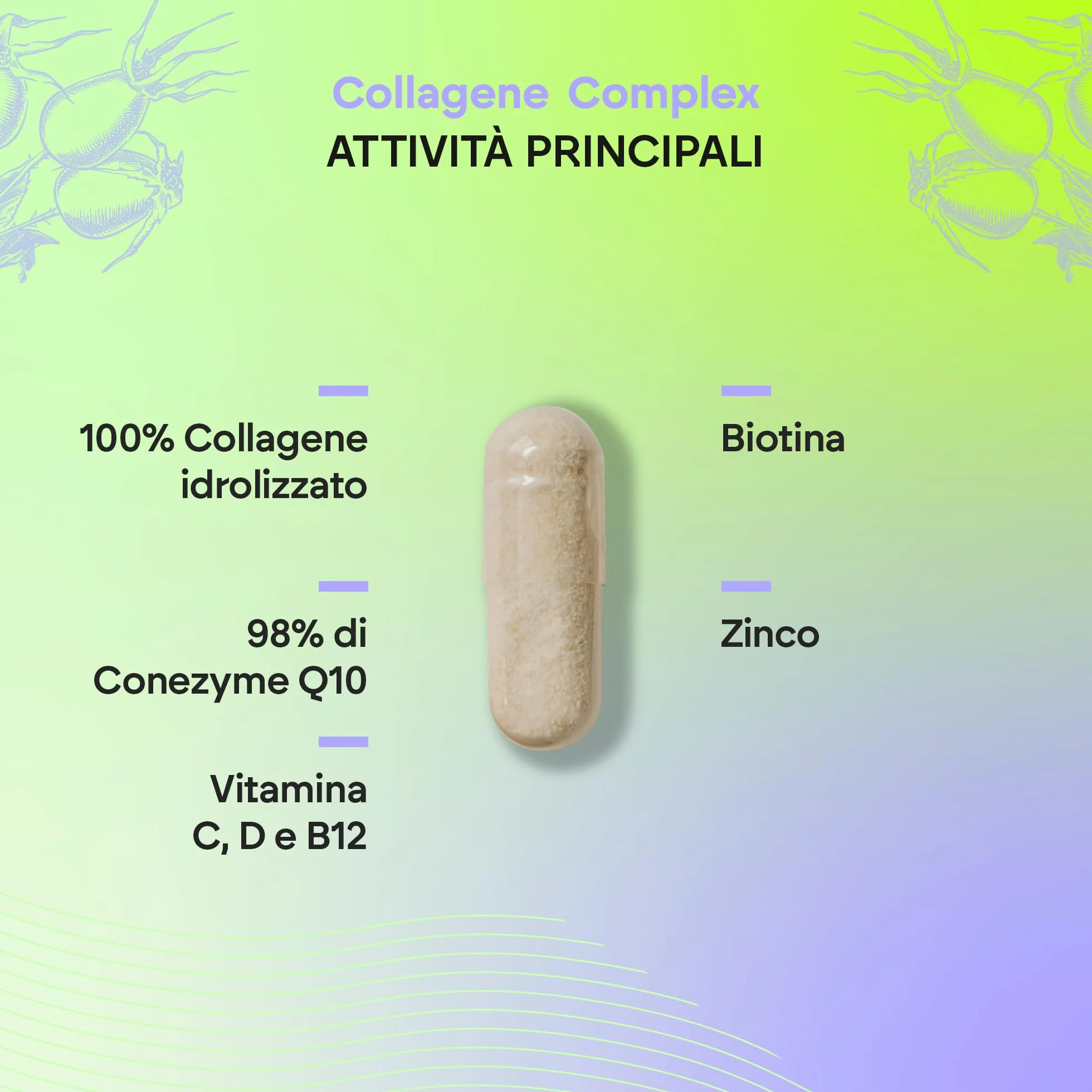 Collagene Acido Ialuronico Idrolizzato Biotina Q10 Pelle Cartilagine Vitamina C D B12 Zinco Collagen Complex 60 capsule Nutralie