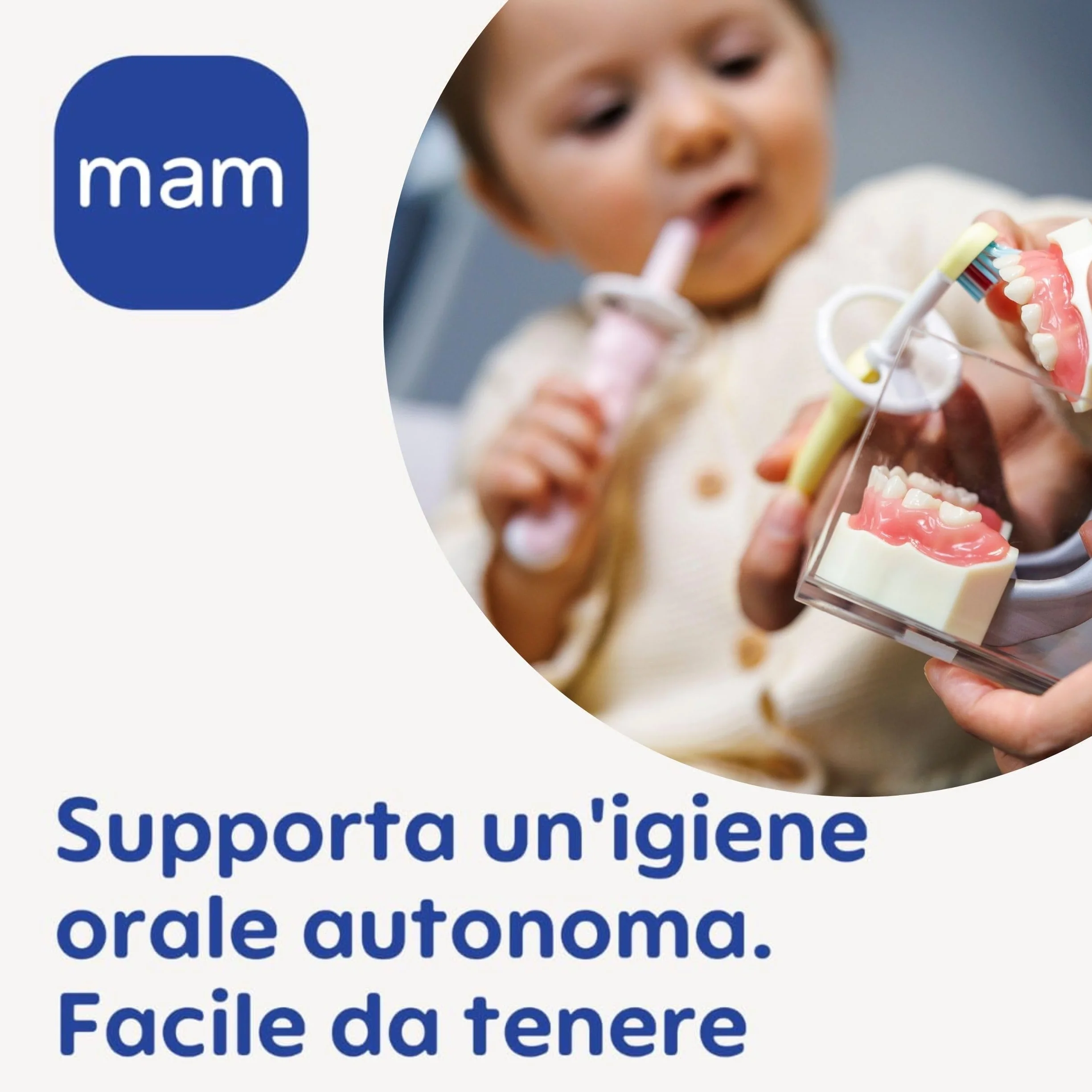 MAM Baby's Brush Set da 2, Spazzolino denti bambini 6+ mesi, Impugnatura antiscivolo, Setole morbide, Rosa