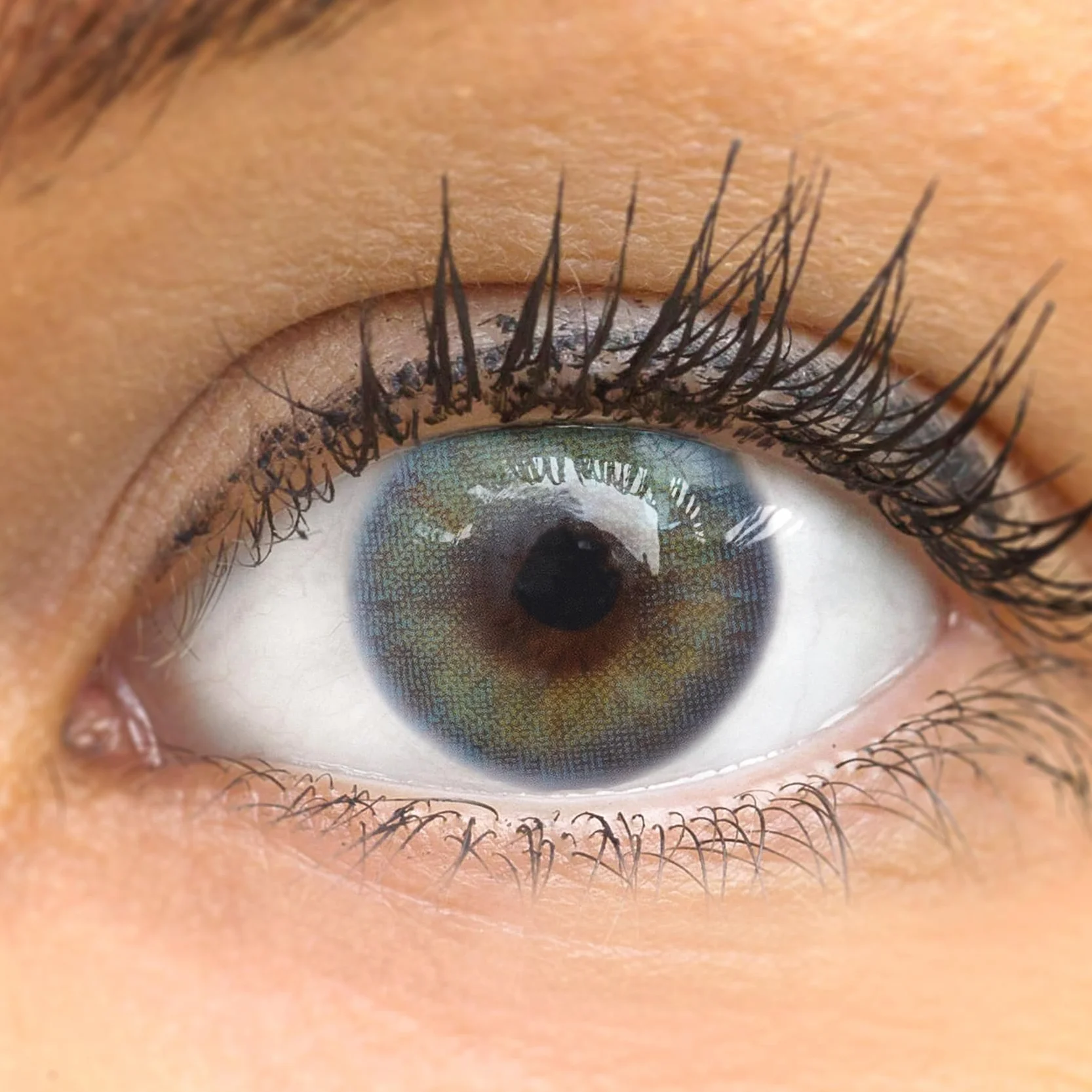 GLAMLENS Lenti a contatto colorate Jasmine Light Blue - mensili - silicone idrogel - 2 pezzi - DIA 14.0 - senza correzione