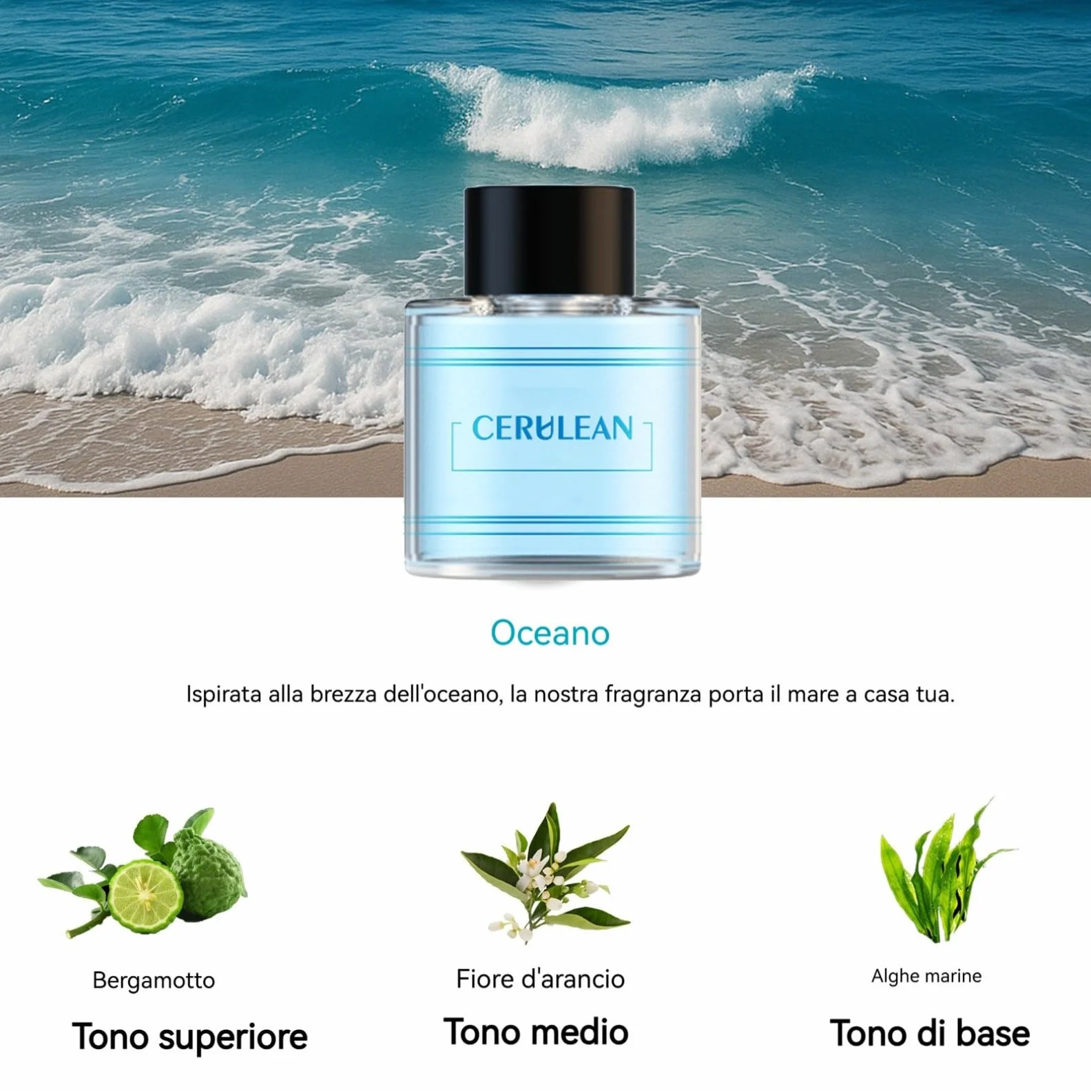 Oceanoo Ricarica per Profumatore Auto 50 ml Compatibile con Diffusori BJ-577 BJ-579 Estratti Naturali