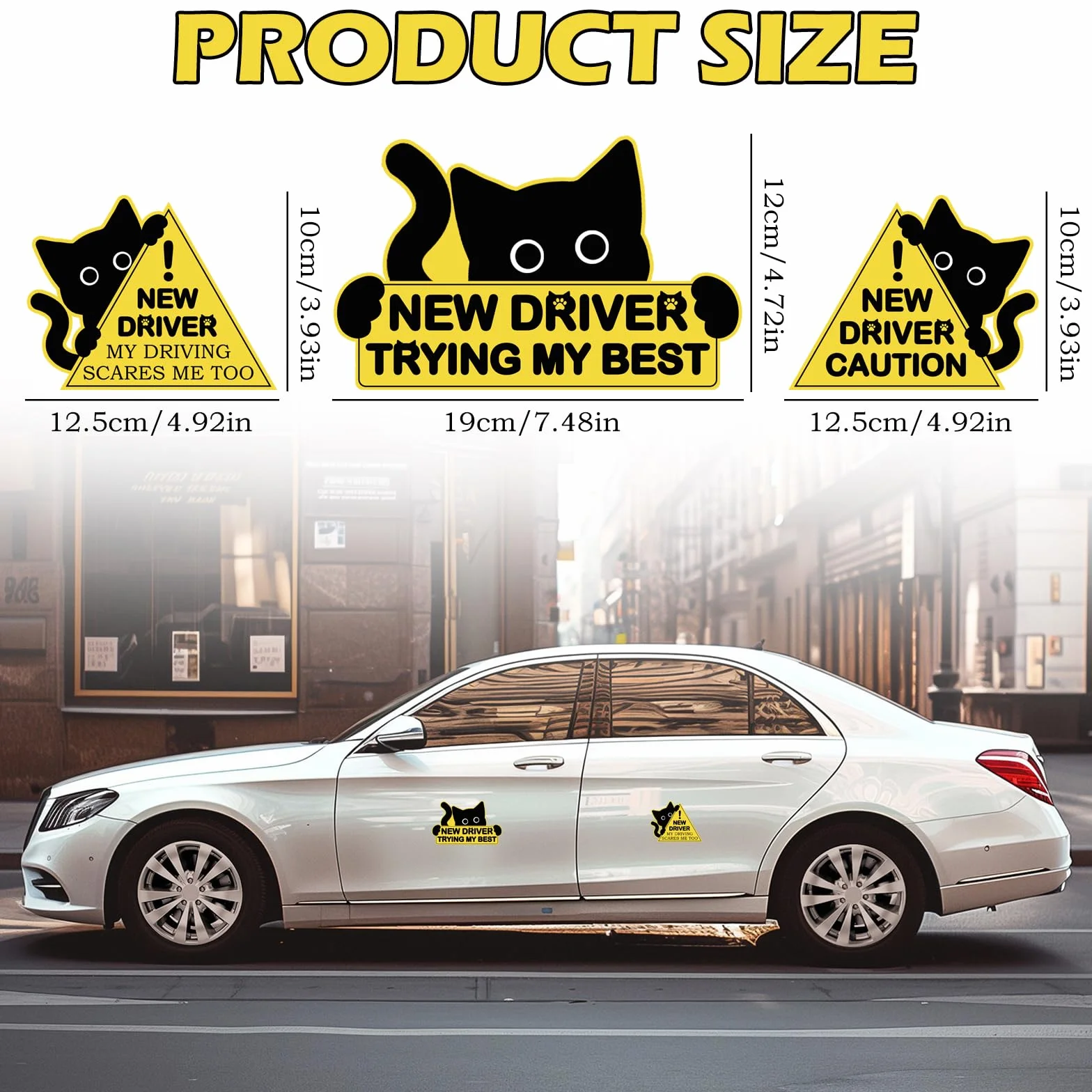 Magneti per auto con gatto nero per neopatentati segnali di avvertimento sicurezza