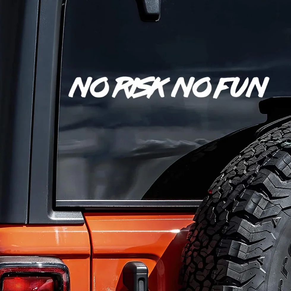 2 pezzi 25 x 3 cm, divertenti adesivi per auto "No Risk No Fun", autoadesivi per camion, moto, computer portatili, per interni ed esterni, #DZ77 (bianco)