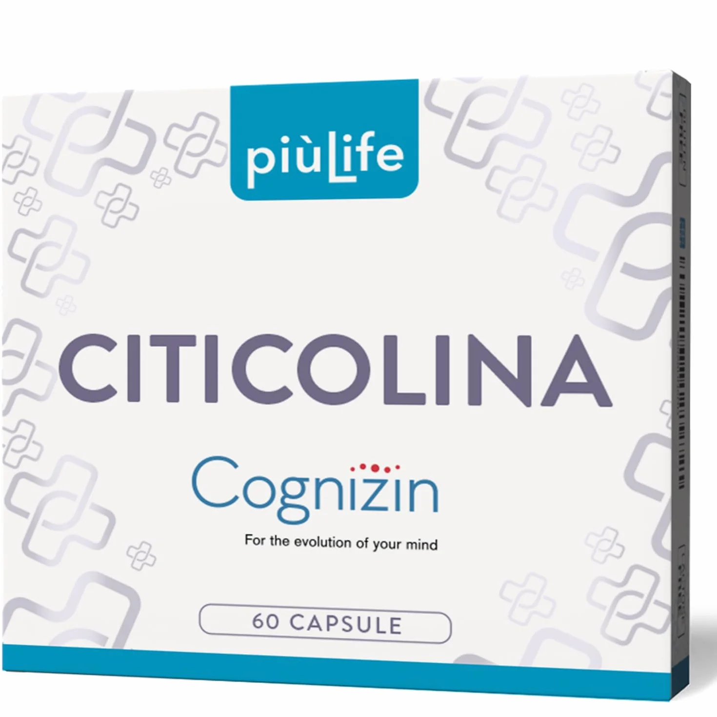 PiùLife Citicolina Cognizin 500 mg Integratore Memoria Concentrazione CDP Colina 2 Capsule