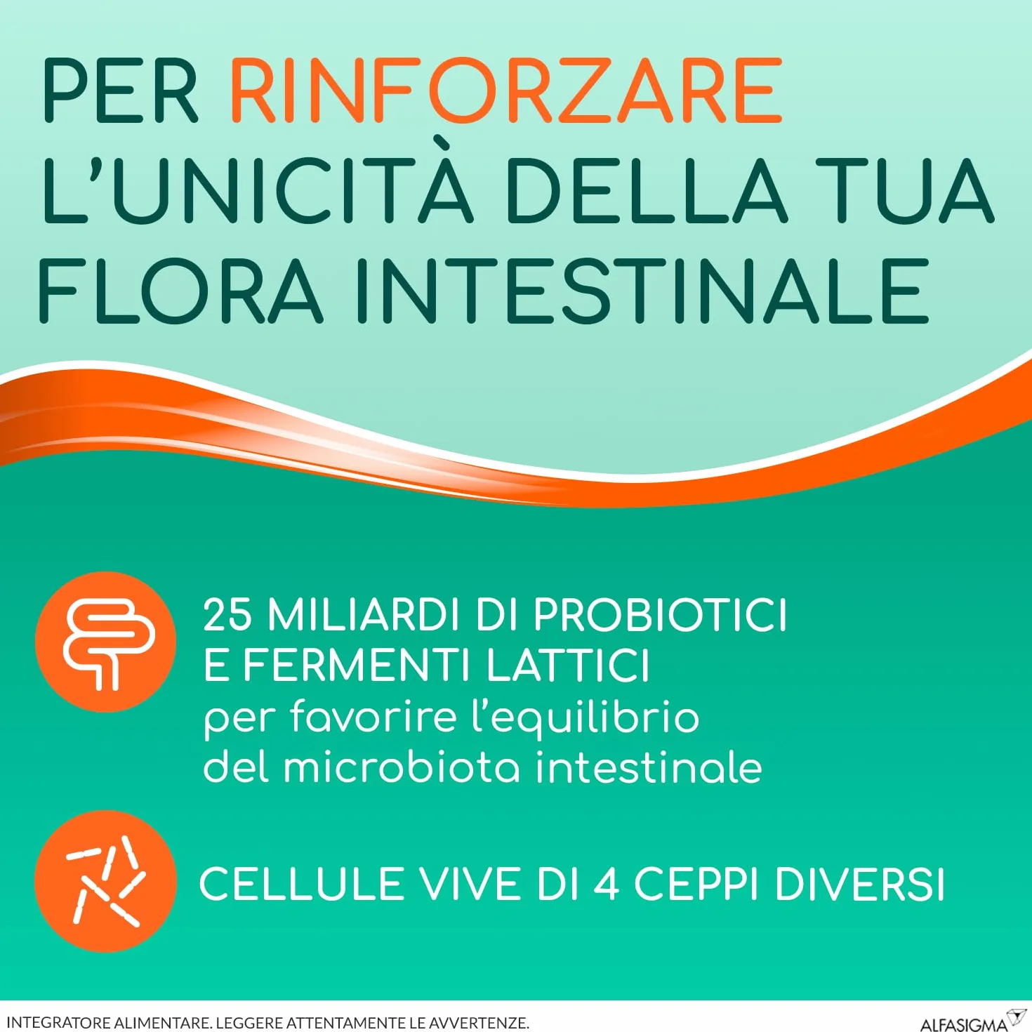YOVIS Probiotici per il Benessere Intestinale 25 Miliardi Fermenti Lattici Vivi 10 Flaconcini 10ml