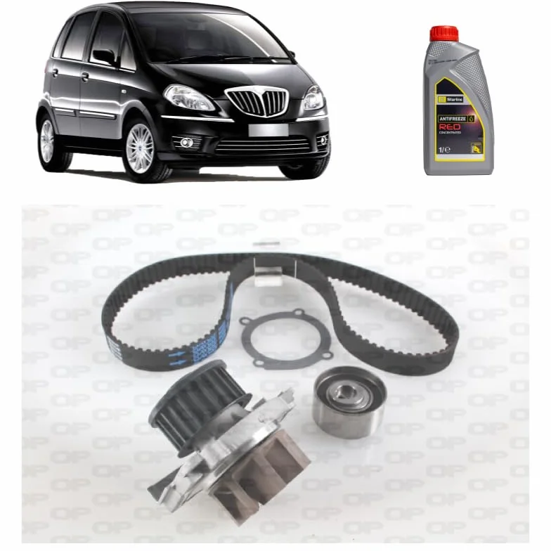 Kit distribuzione + p acqua + antigelo per Lancia Musa 1.4 benzina/GPL 2004-2012