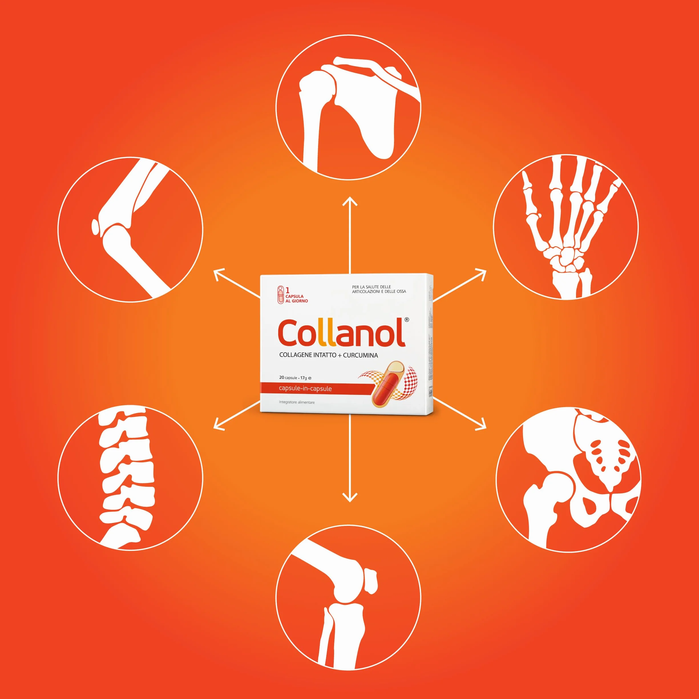 Collanol collagene 3D curcumina micellare 60 capsule salute articolare