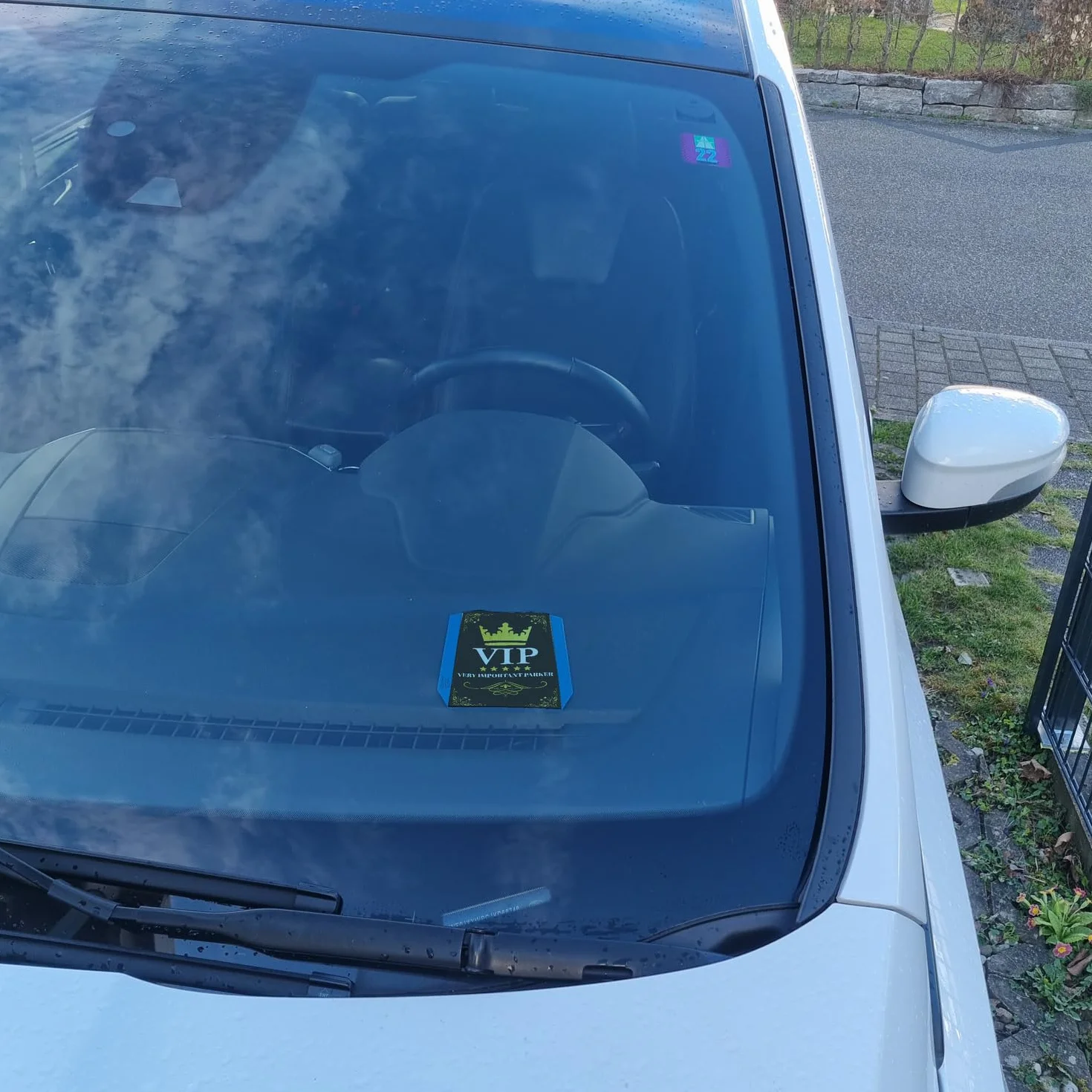 VIP Disco di parcheggio con scritta divertente 2 chips per carrello