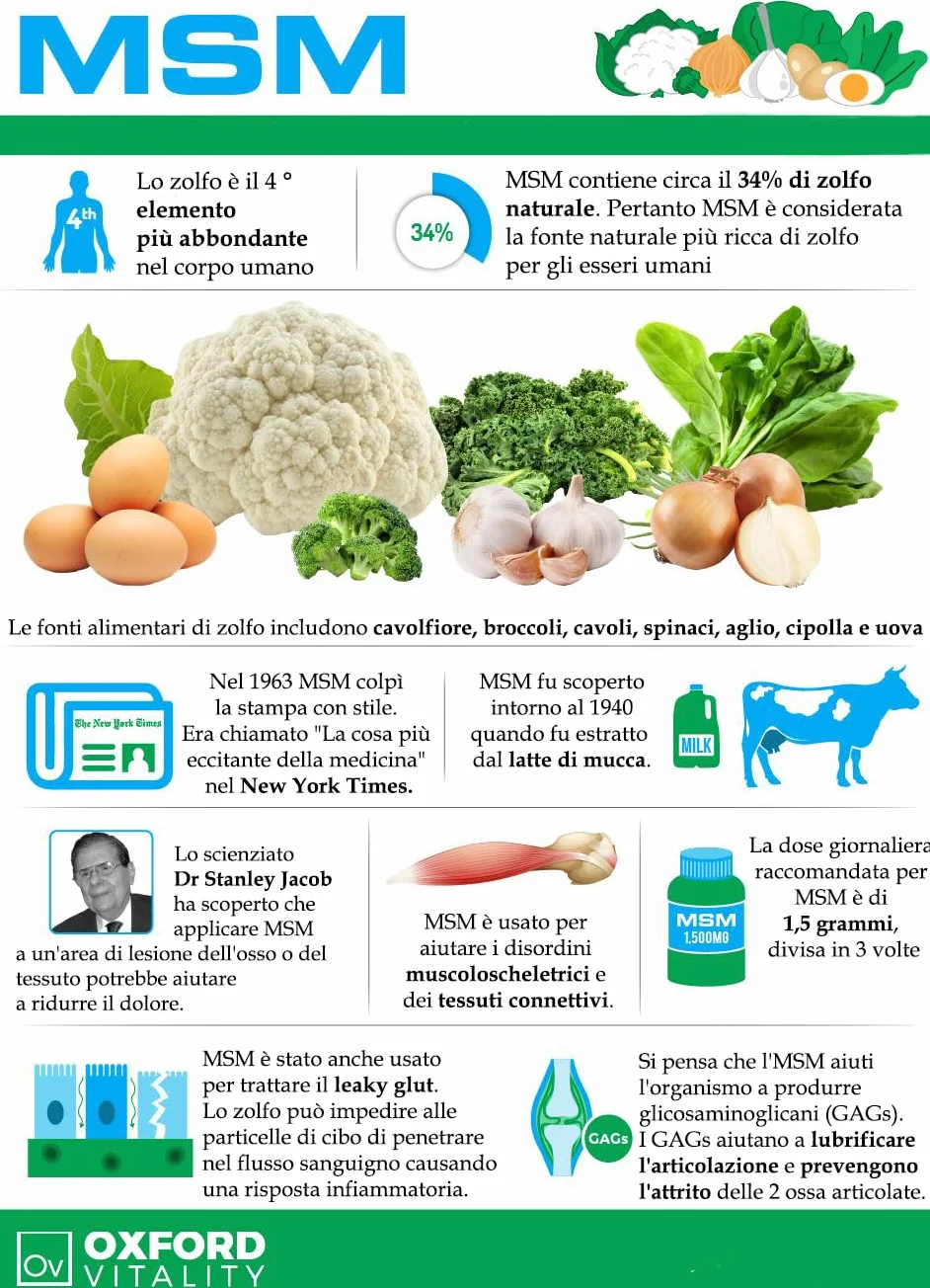 MSM Plus Metilsulfonilmetano Zolfo Alimentare Puro 99,9% 100 Compresse Supporto Articolazioni Ossa Unghie Muscoli Capelli