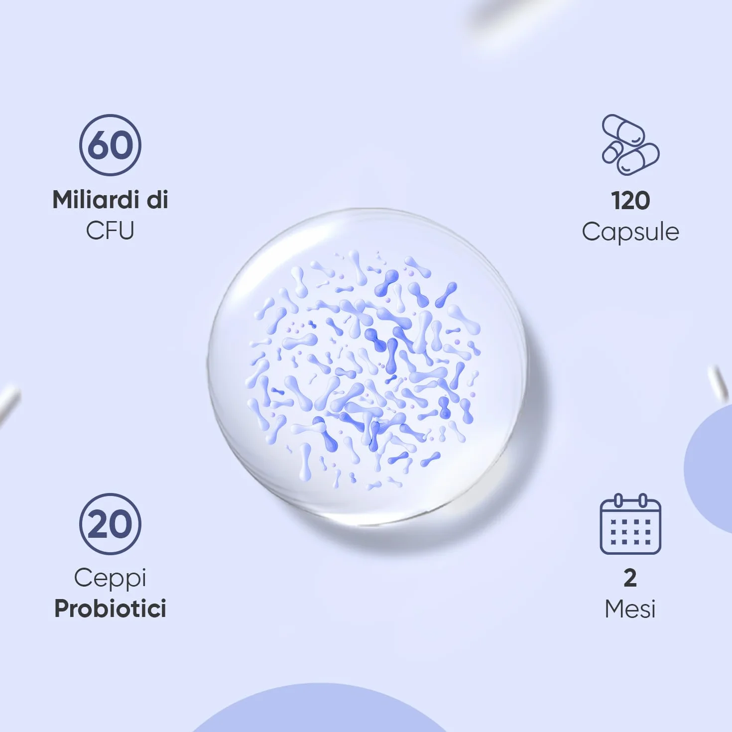 Probiotici e Prebiotici 20 Ceppi 120 Capsule 60 Miliardi CFU Lactobacillus Acidophilus Gasseri Inulina Bio FOS