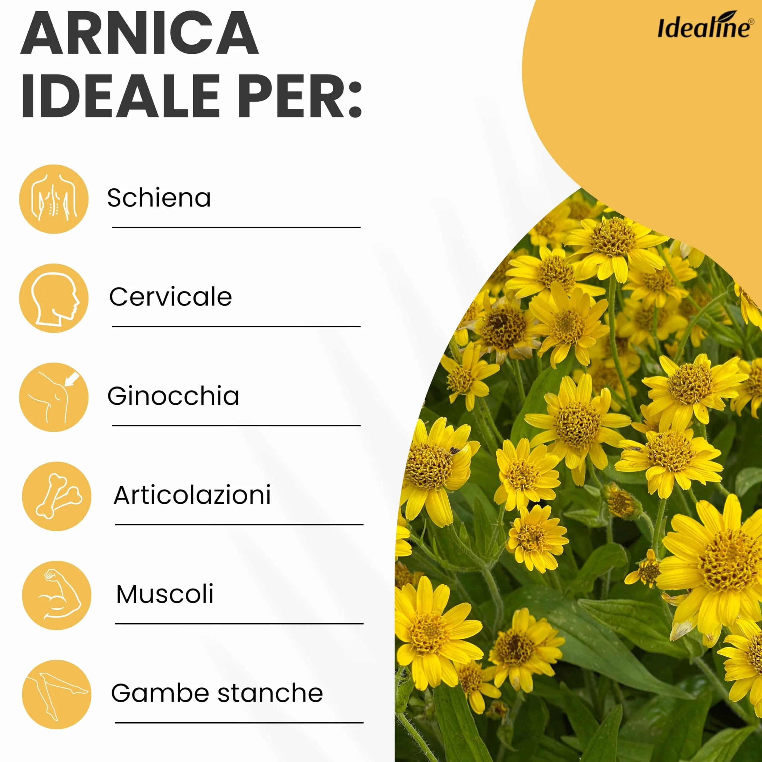 Arnica Gel Extra Forte 500ml Arnica Montana Made in Italy per Muscoli e Articolazioni